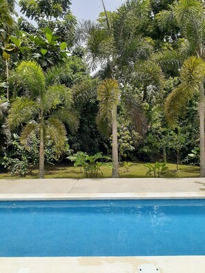 A swimming pool with a tiled edge, surrounded by various tropical plants and trees. - Hotel Aban (Cahuita)