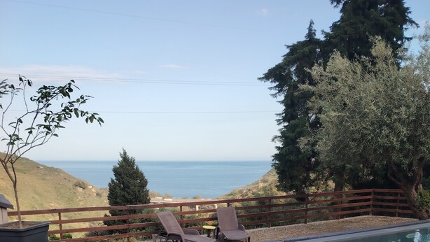 Vista despejada de una piscina con sillones de descanso y una valla de madera.