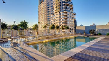 Outdoor pool, sun loungers
