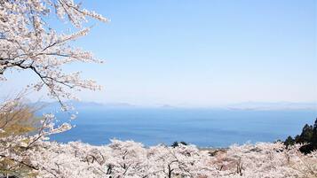 A landscape with cherry blossoms and a view of the sea.
