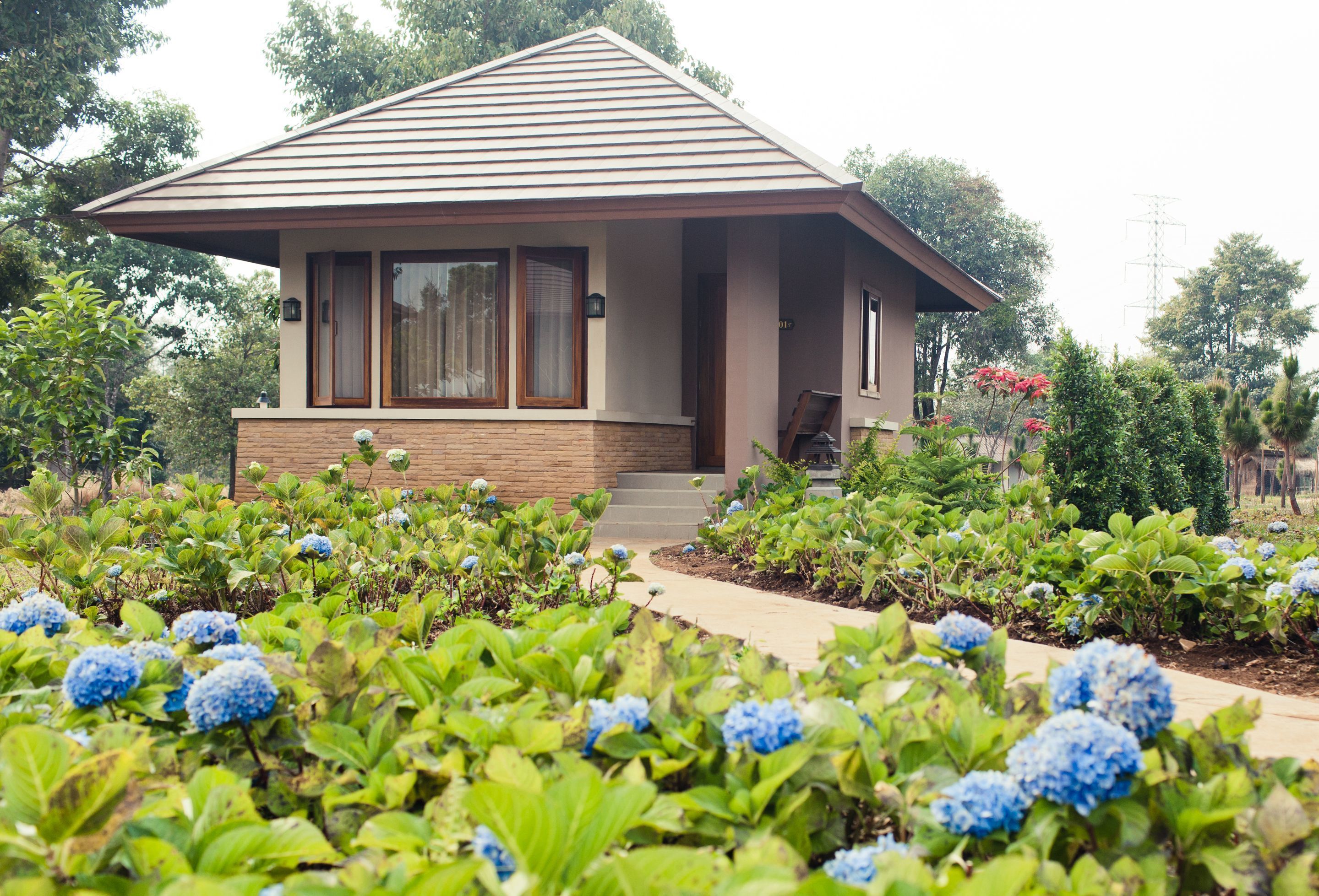 premium bedding, minibar, in-room safe, blackout curtains