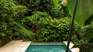 A rectangular pool with clear blue water, surrounded by lush greenery and a tiled border. - Bisma Jaya Bungalow (Ubud)