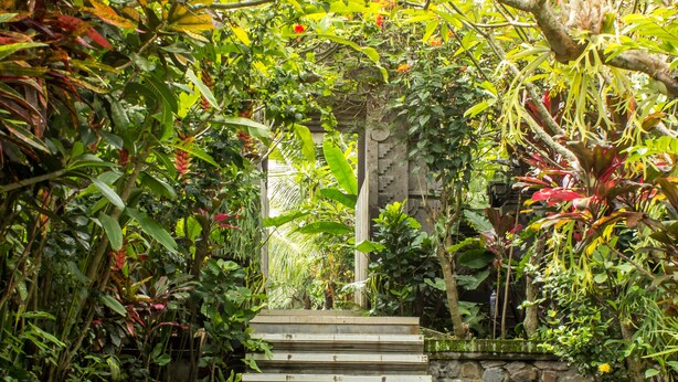 A pathway leading to a temple surrounded by lush greenery and a stone wall. - Bisma Jaya Bungalow (Ubud)