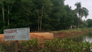 A sign for Mangrove Nursery with a view of a river and surrounding greenery. - Bakau Hijau Riverlodge - Hostel (Bedung)