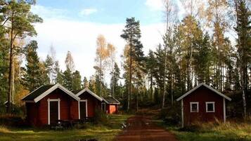 Desk, blackout drapes, soundproofing, iron/ironing board