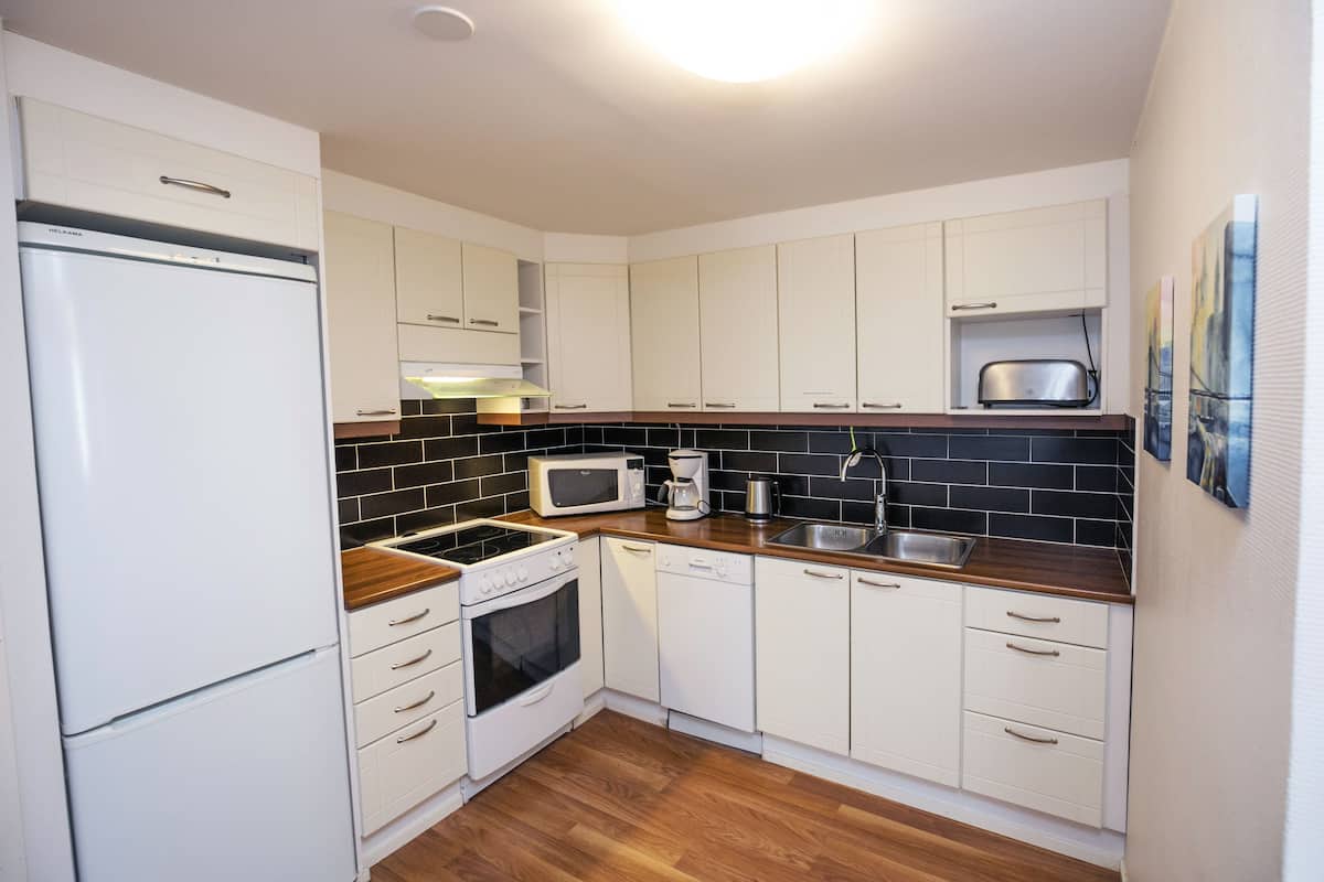 apartment, 1 bedroom, sauna | private kitchen | fridge, microwave