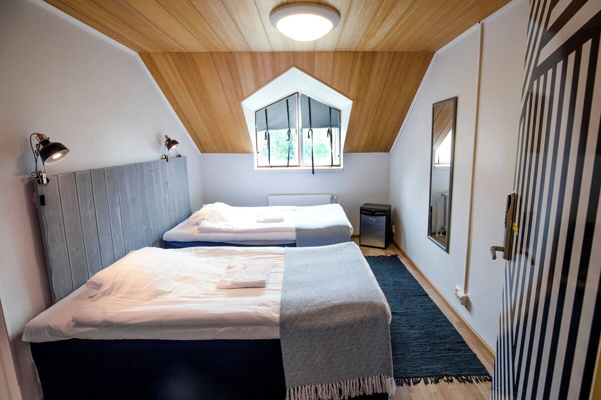 Un dormitorio con dos camas, un tragaluz, un espejo y una puerta con paneles a rayas.