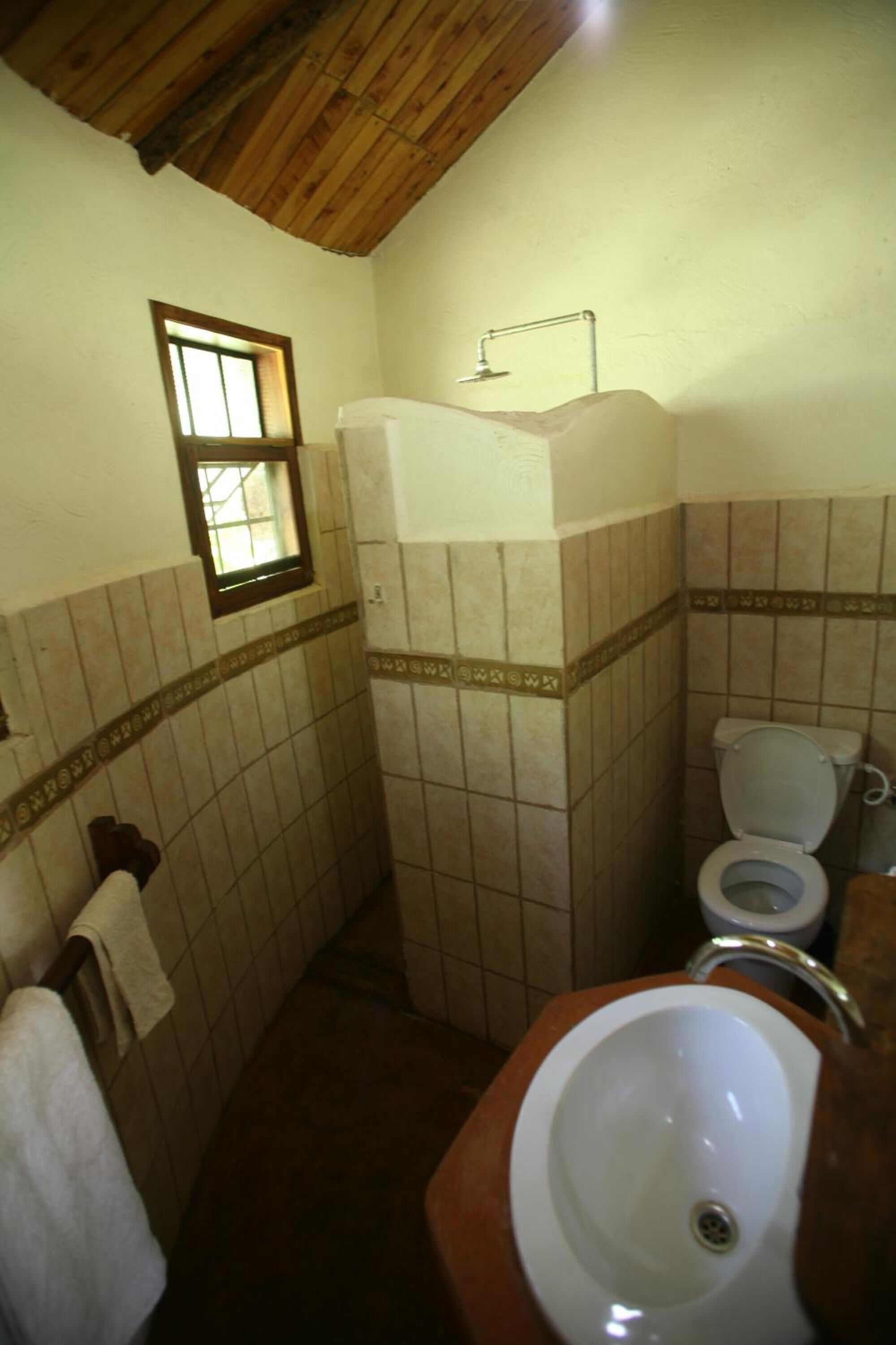 A bathroom with a wooden ceiling, a window, a toilet, and a sink.