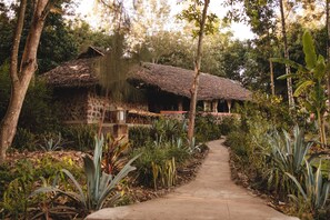 A pathway leading to a rustic building with a thatched roof, surrounded by lush greenery and various plants. - Kiboko Lodge (Arusha)