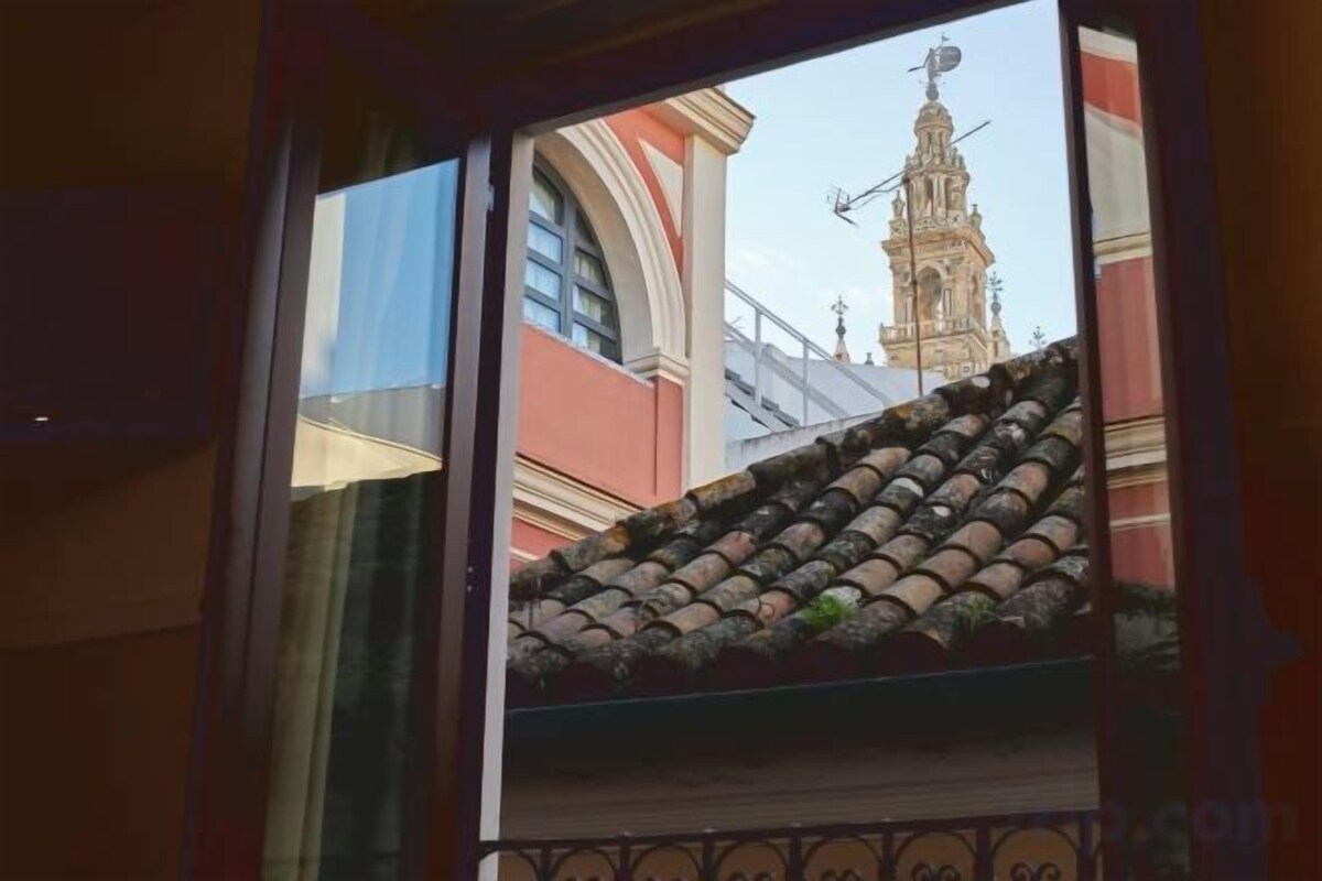 Vista desde la propiedad