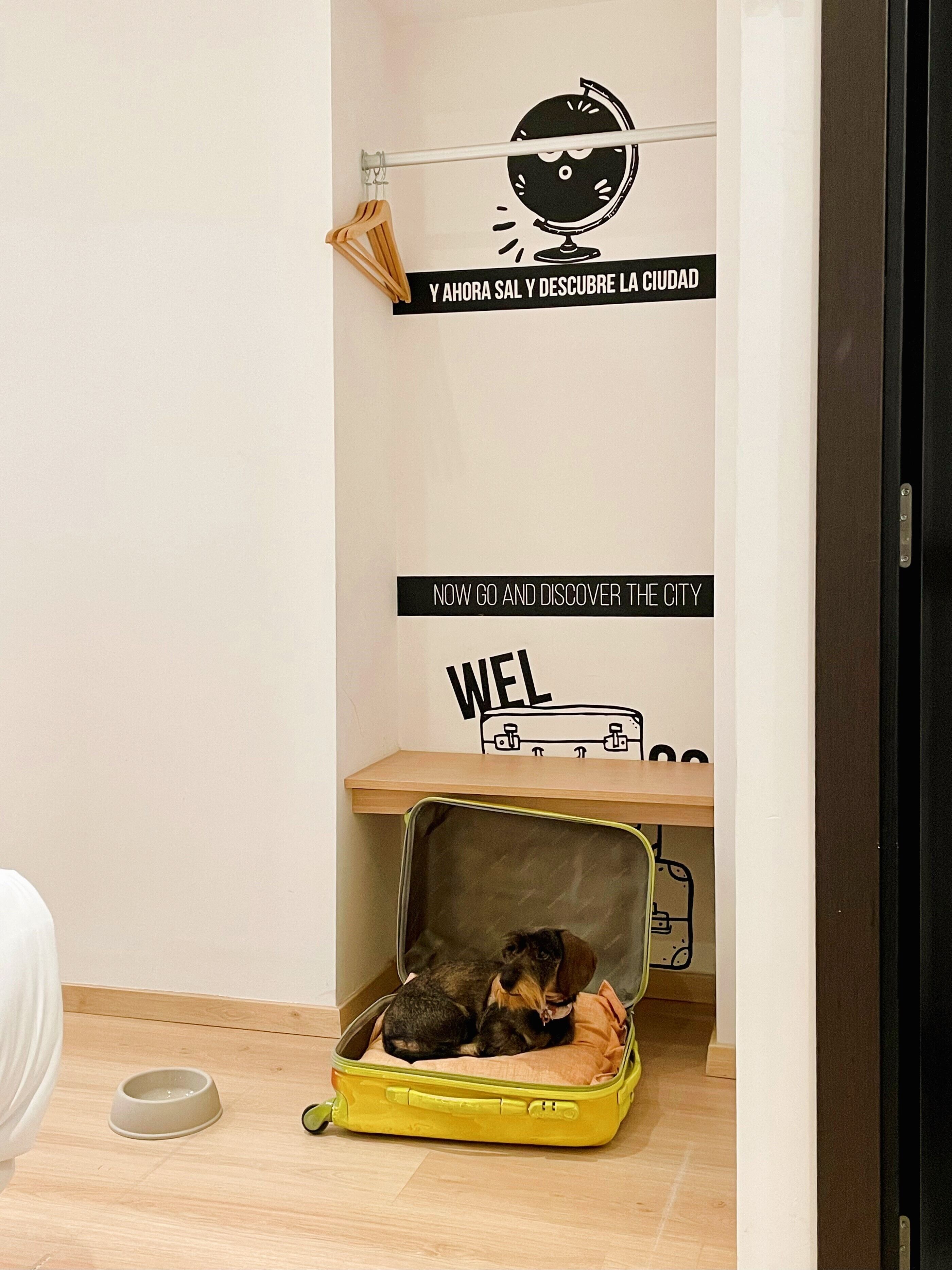 Photo - U-Sense For You Hostel Sevilla