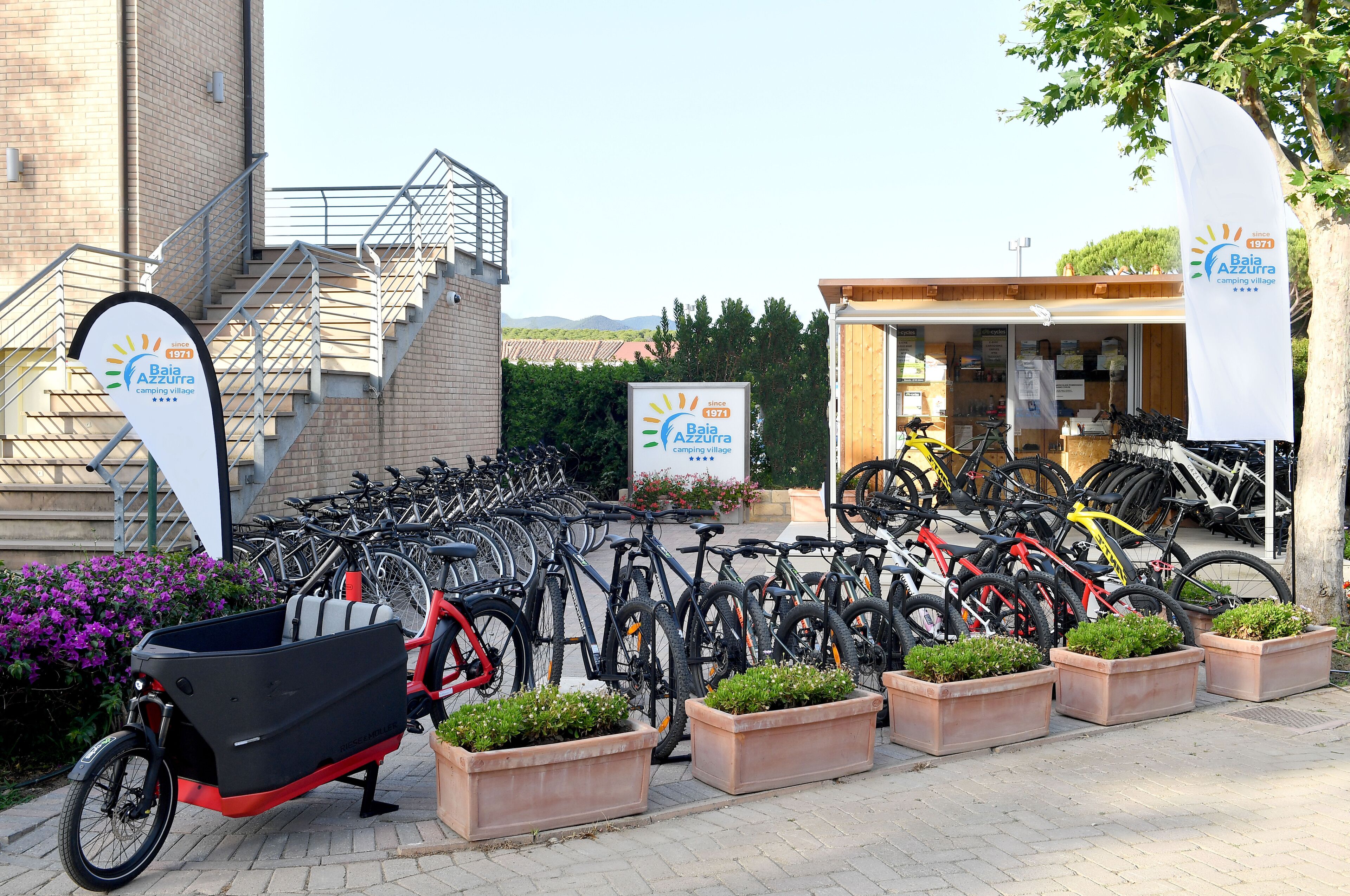 Un point de location de vélos proposant plusieurs modèles, dont un vélo cargo, entouré de plantes en pot et situé à proximité d’un bâtiment portant une enseigne indiquant qu’il fait partie du complexe de camping Baia Azzurra depuis 1971.