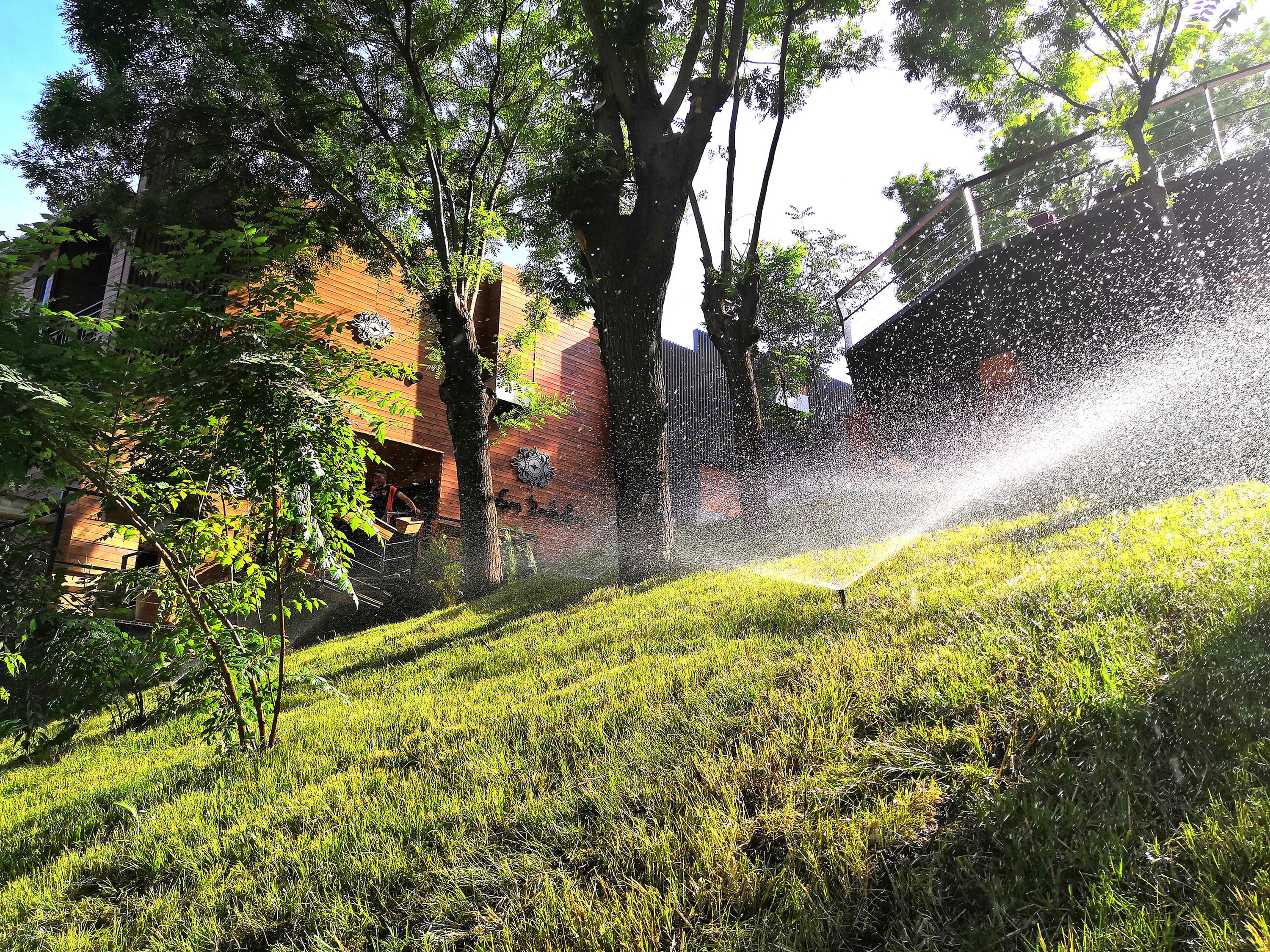 Foto - Piano Borracho Boutique Hotel Old Tbilisi