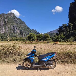 踏板/轻便摩托车