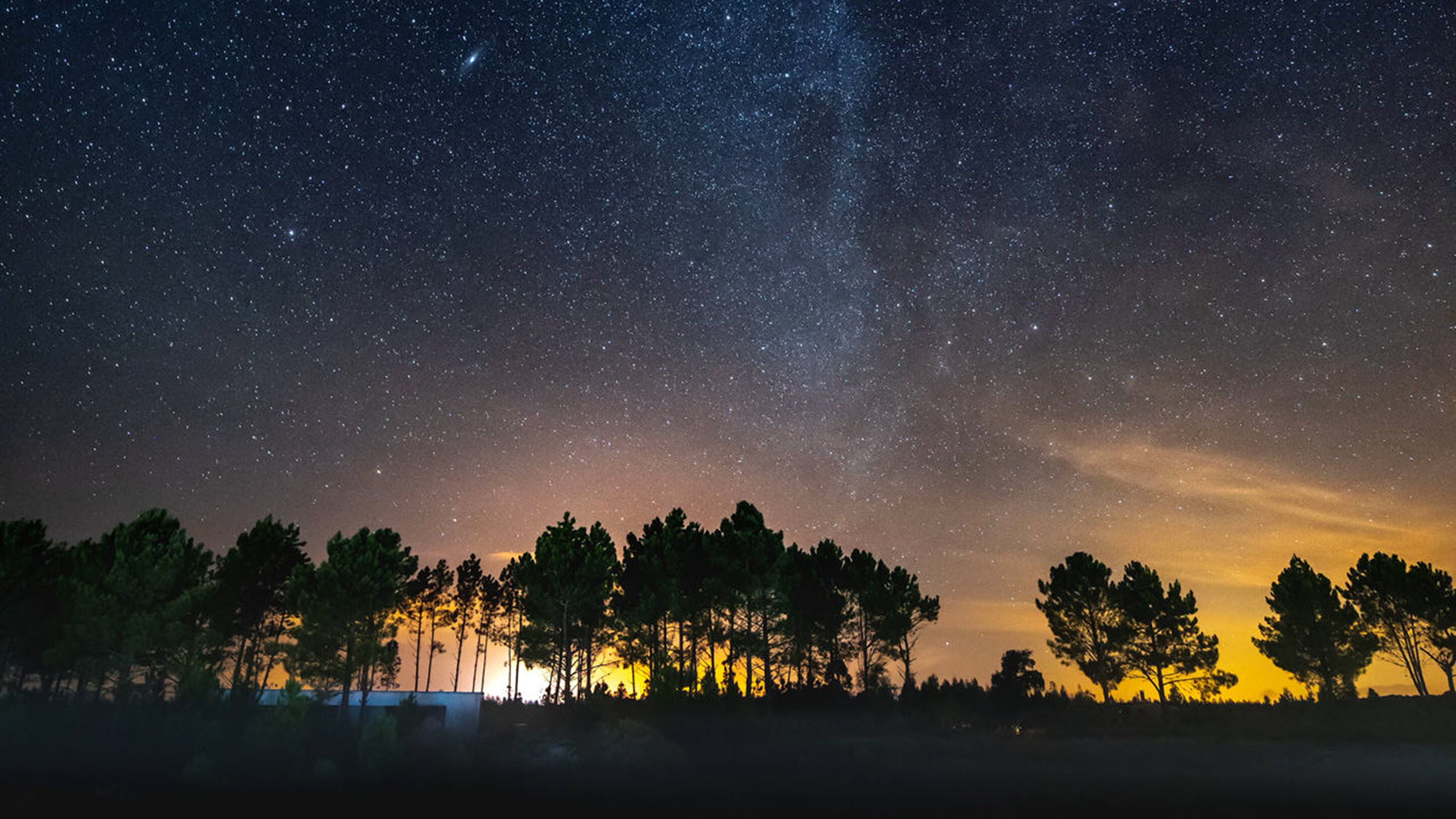 Cielo nocturno lleno de estrellas sobre un área boscosa.