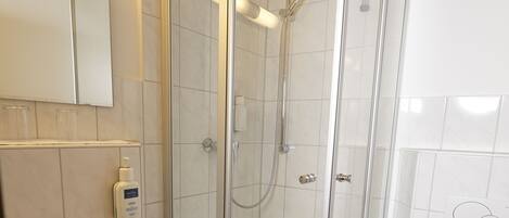 Un baño moderno con ducha envuelta en vidrio, un lavamanos blanco y un inodoro.