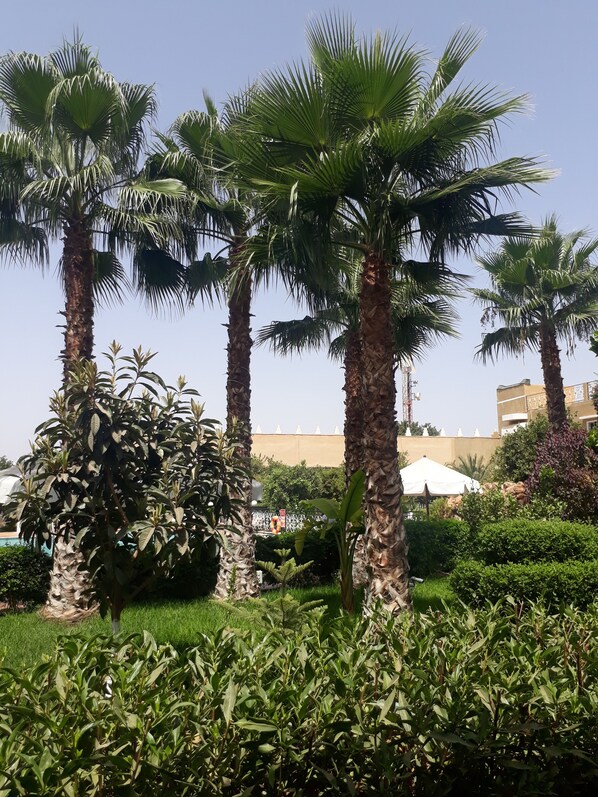 Vista desde la propiedad