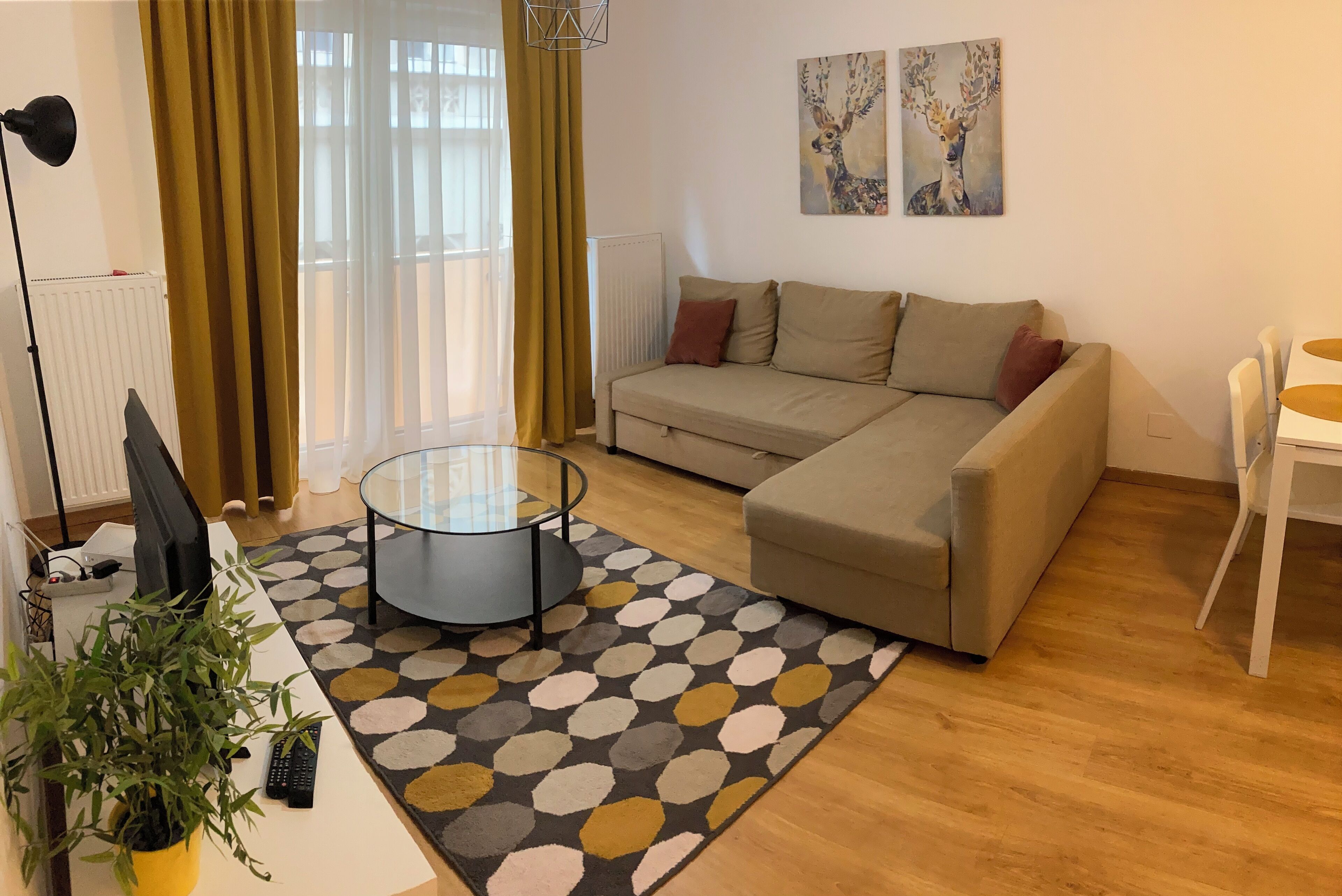 Een woonkamer met een bank, een glazen salontafel, een plant in pot, een televisie en een radiator.