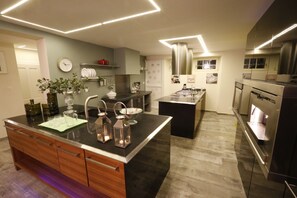 Luxury Villa, 4 Bedrooms, Mountain View | Private kitchen | Fridge, microwave, oven, stovetop - Villa Regina (Ollon)