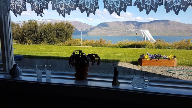 A window view of a grassy area with a flower bed, a potted plant, and a clear sky. - The Viking Country Club (Hjalteyri)