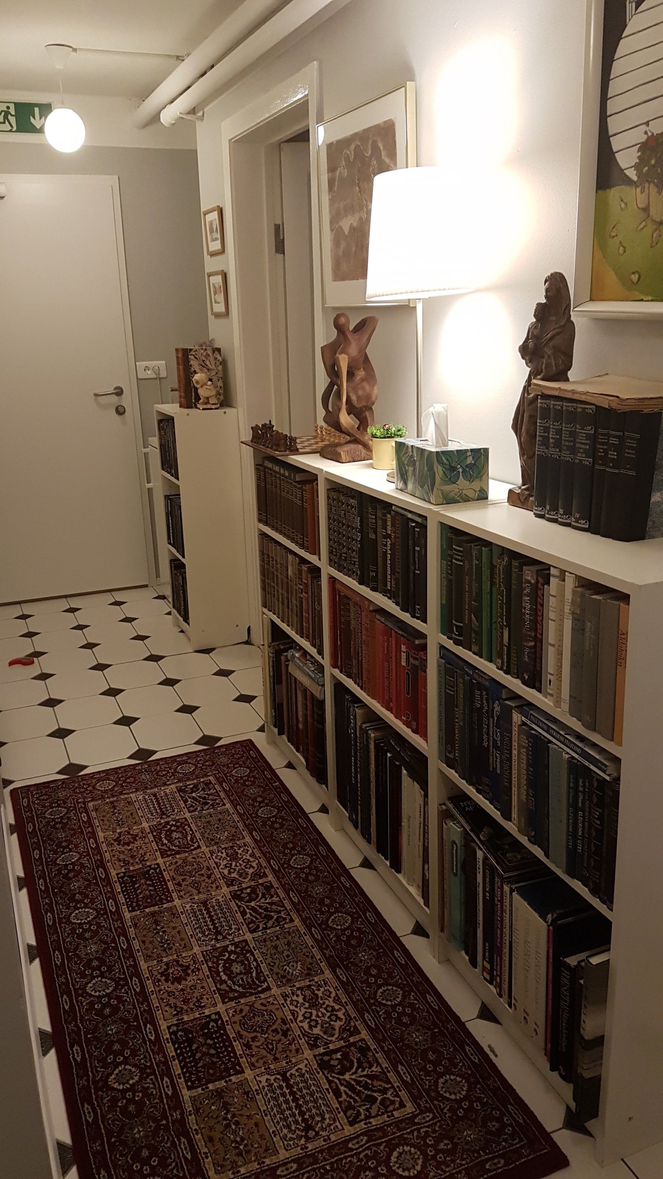 A hallway with a patterned rug, a bookshelf filled with books, a statue, and a framed picture on the wall.