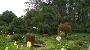 Un jardín con una estructura de madera, un estanque y un caballo pastando.