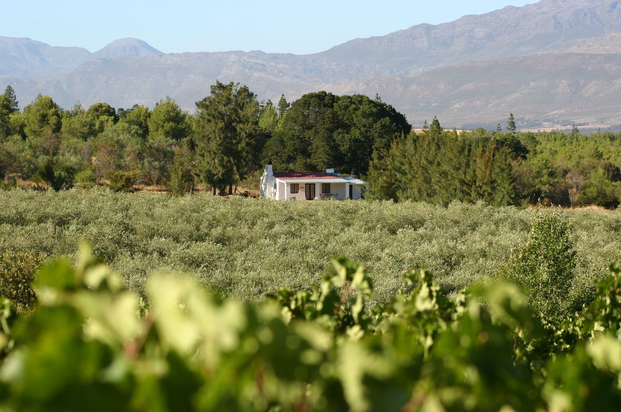 A small house in a field with mountains in the background.
