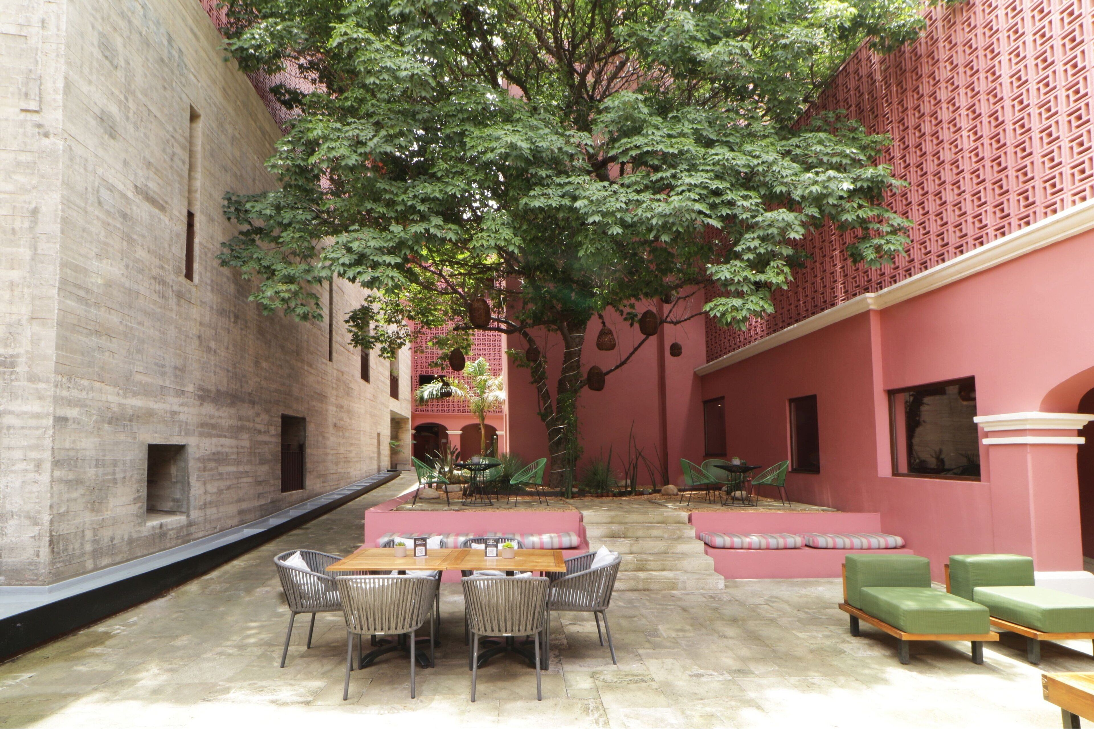 A courtyard with a large tree, seating areas, and a brick wall.
