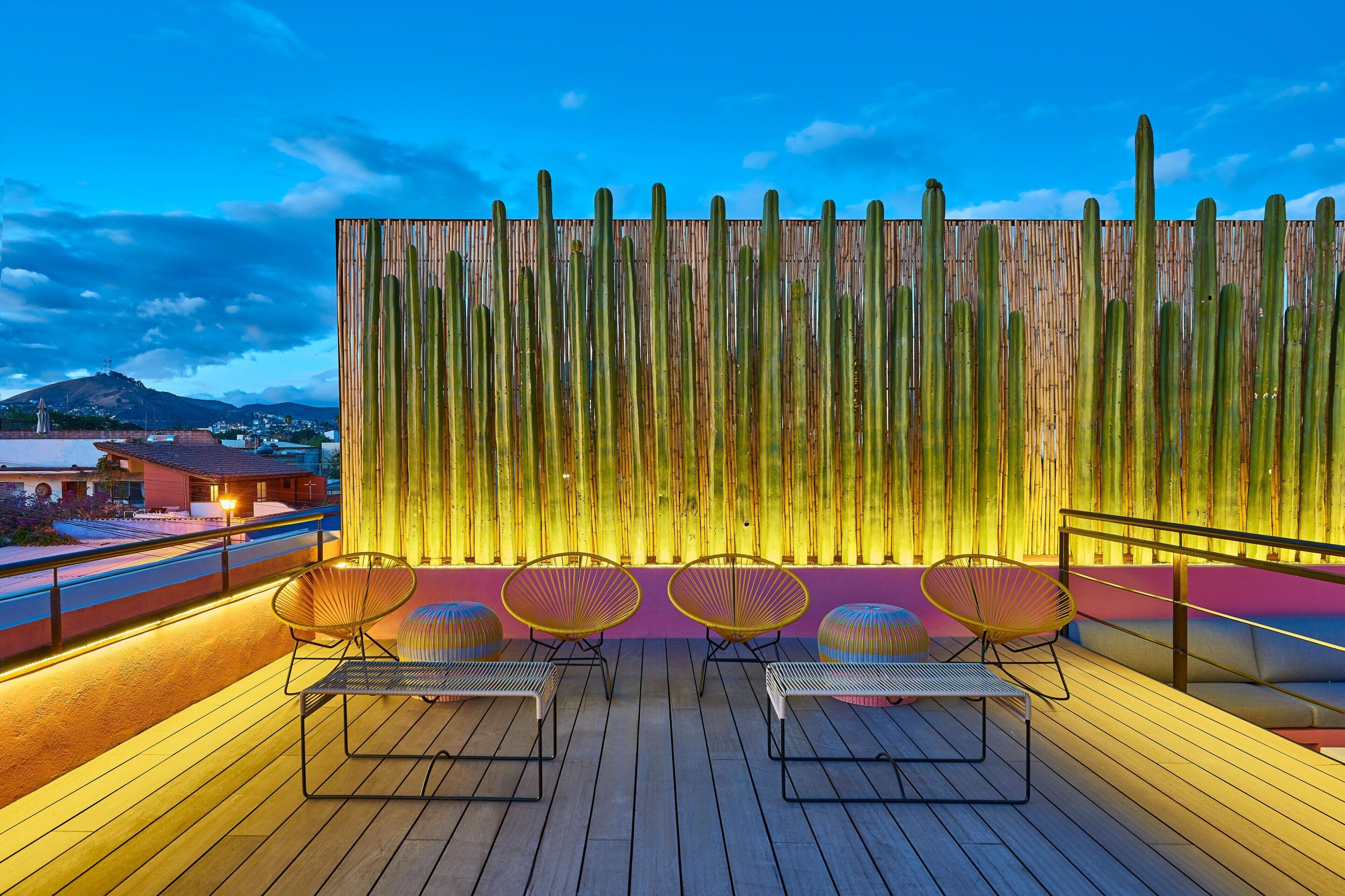 Terraza en la azotea