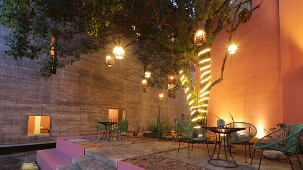 An outdoor patio with steps leading to a seating area, surrounded by a low wall and a tree. - City Centro by Marriott Oaxaca (Oaxaca)