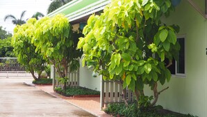 Una hilera de edificios verdes con un paseo techado y pequeños árboles.