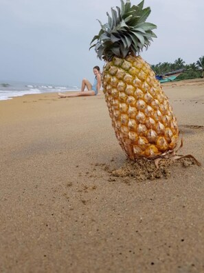 Beach nearby - Mihilaka Holiday Homes (Wadduwa)