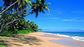 Pantai di sekitar