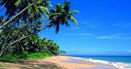 Mihilaka Holiday Homes