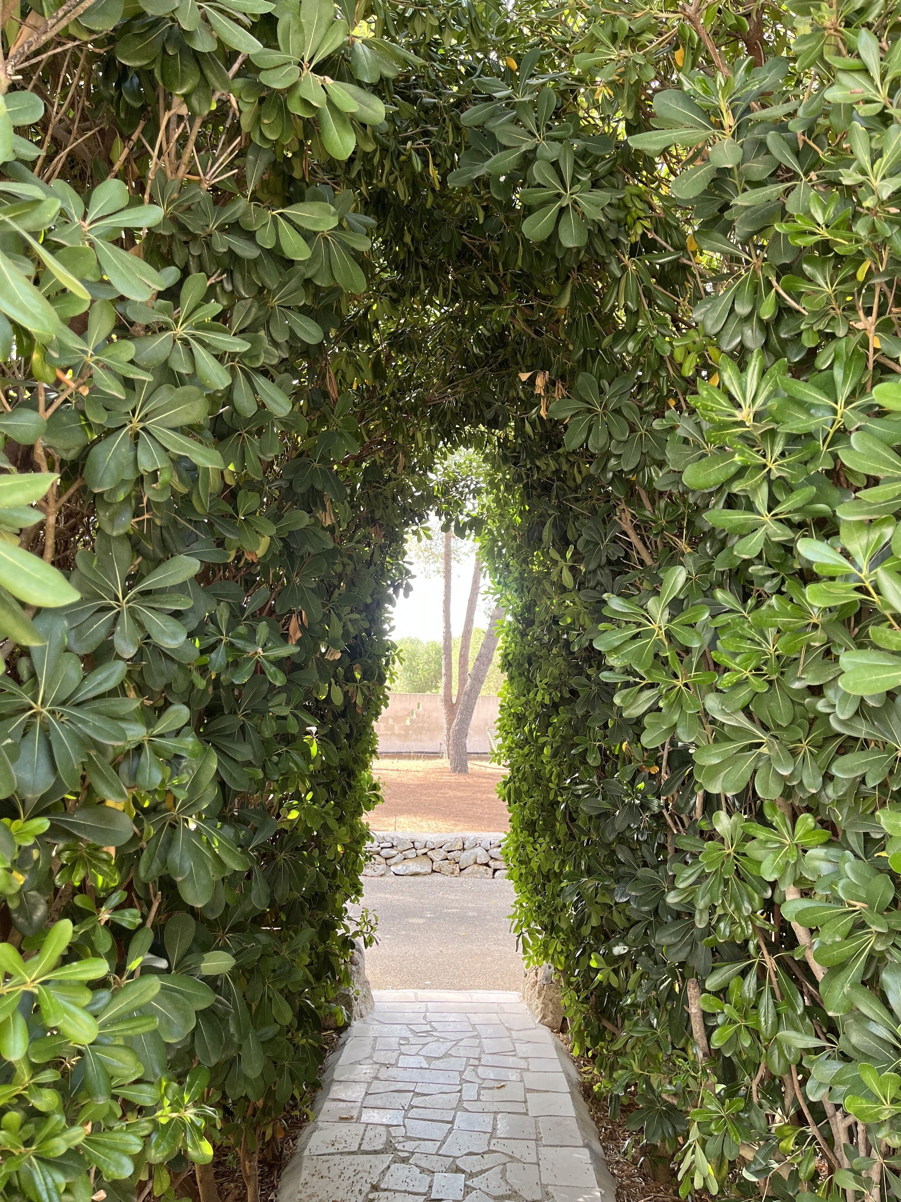 Khuôn viên nơi lưu trú