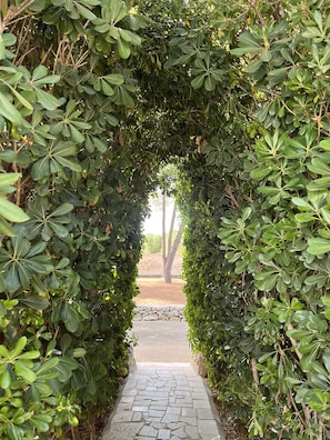 Terrein van de accommodatie