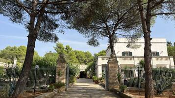 A pathway leading to a building with a stone entrance, surrounded by trees and potted plants.