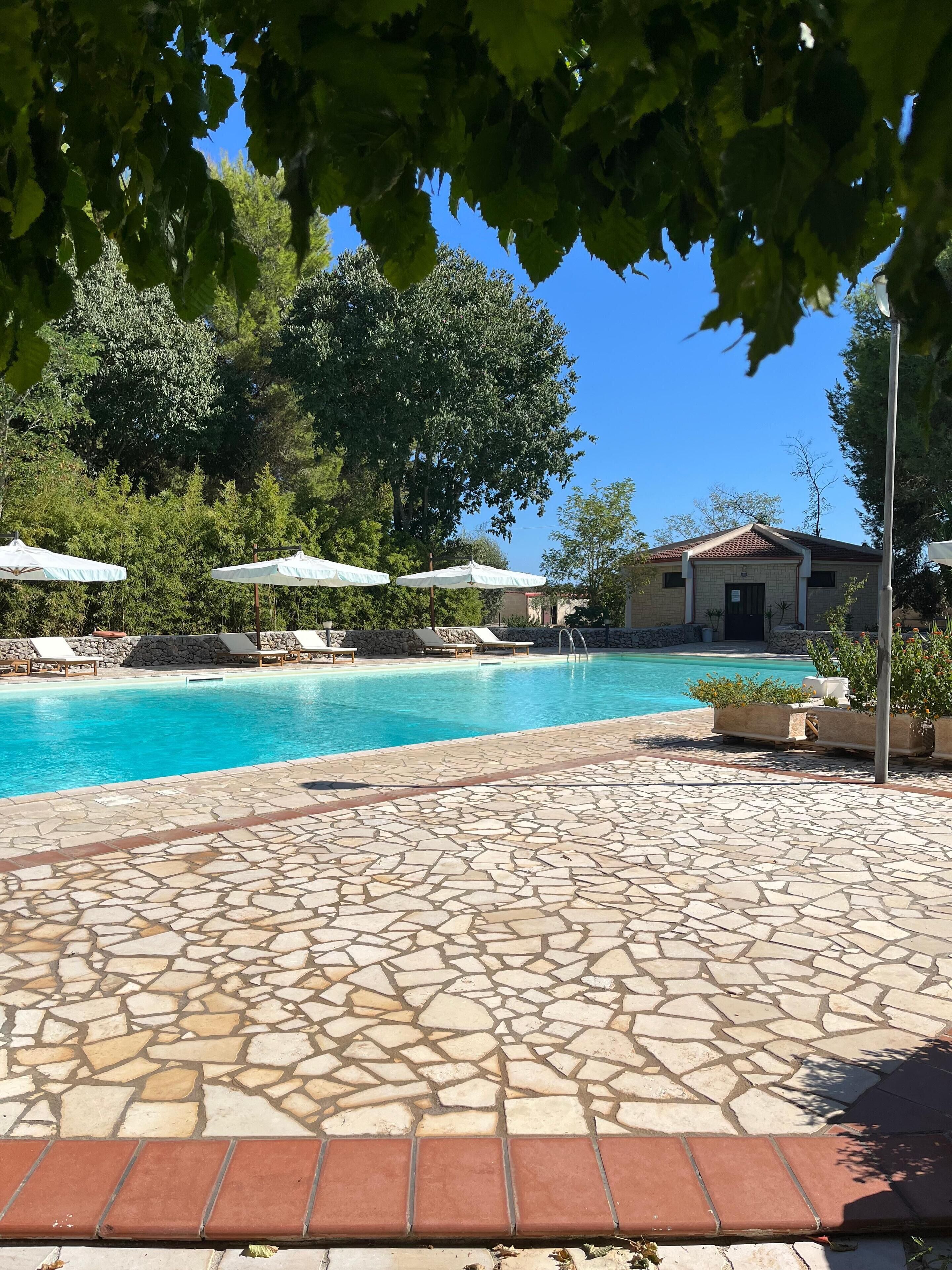 A swimming pool with lounge chairs and umbrellas, surrounded by stone tiles and a building in the background.