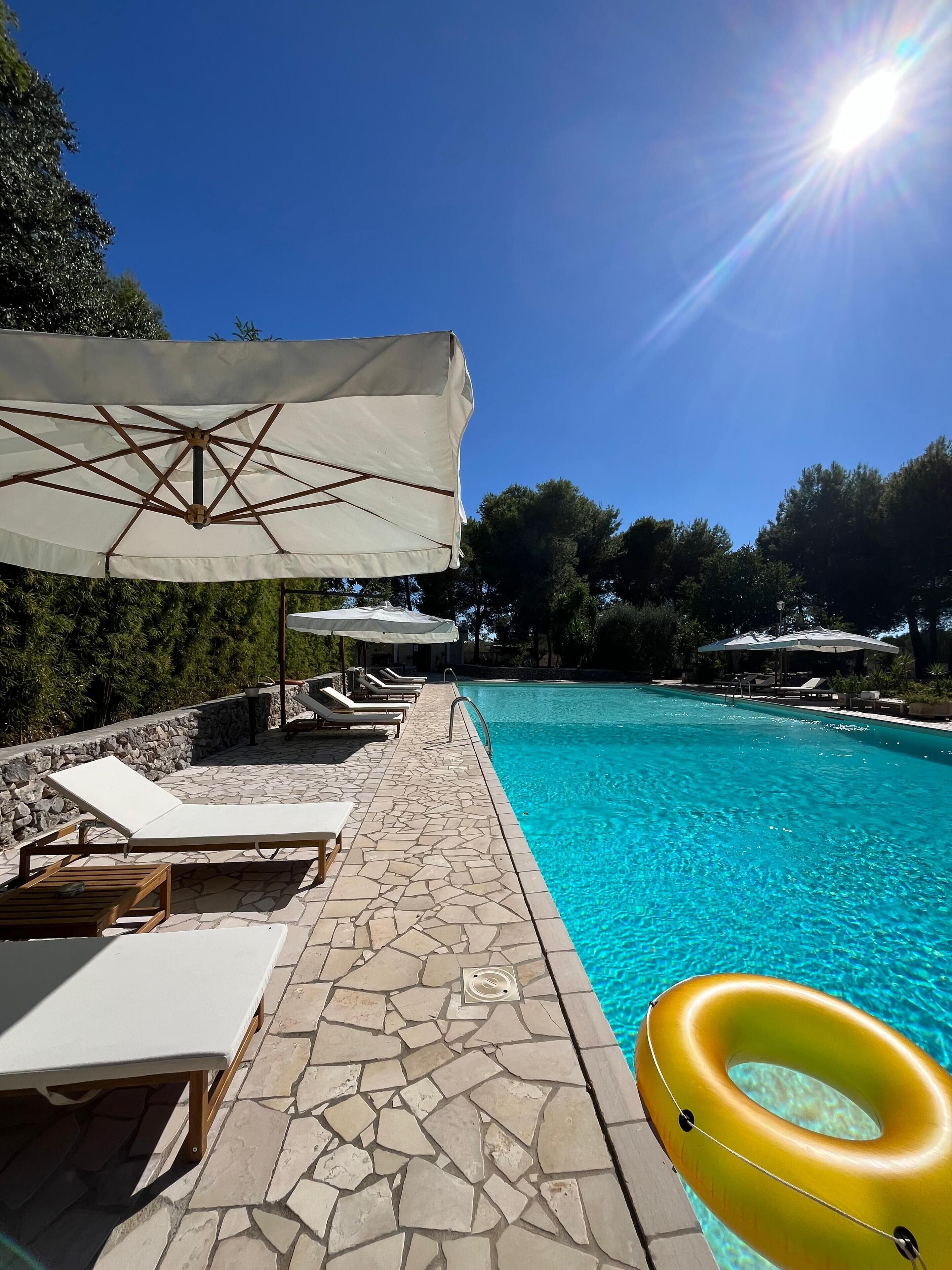 A clear blue pool with lounge chairs and umbrellas, surrounded by stone tiles and greenery.