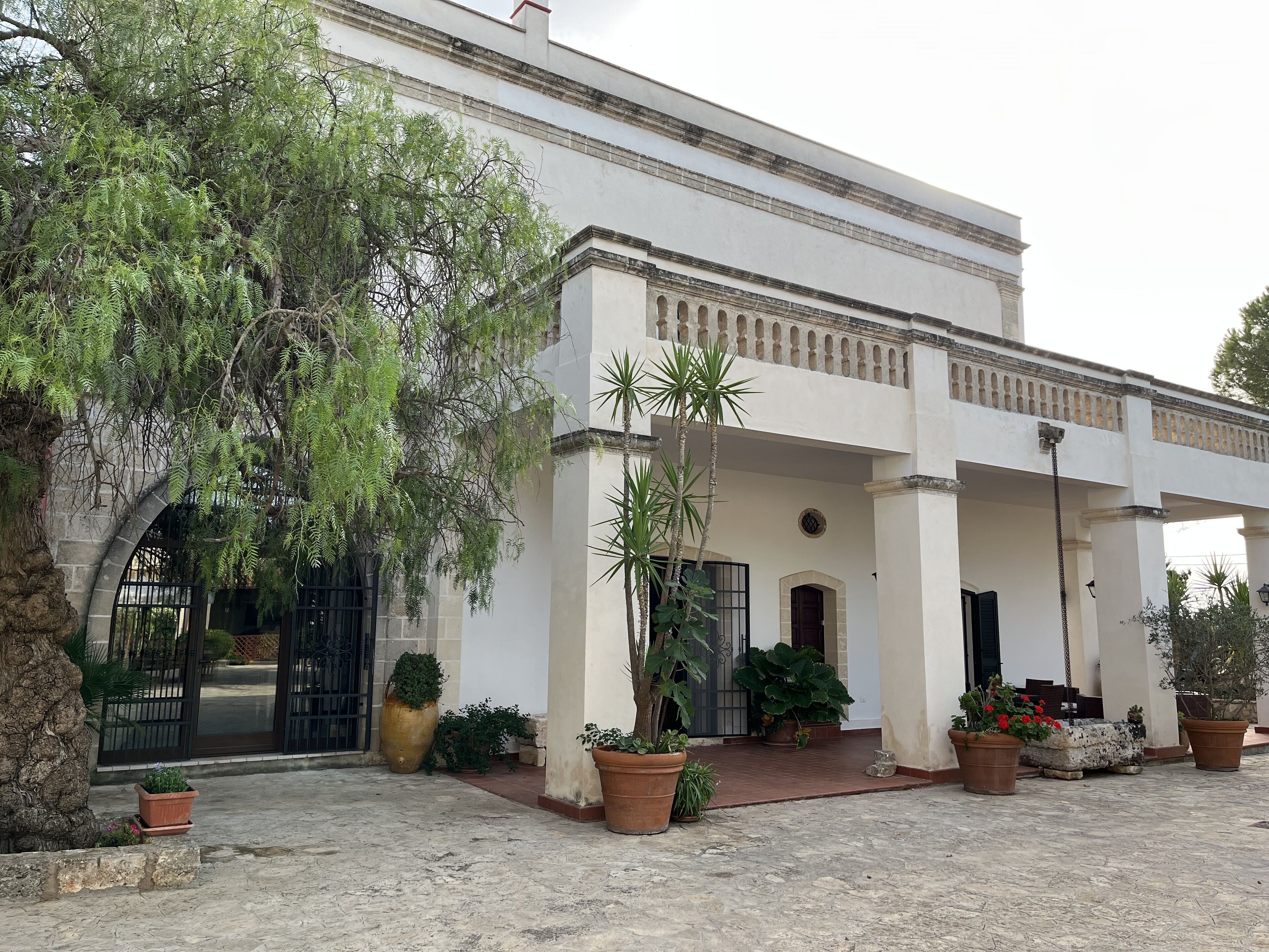 A building with a white facade, large windows, and a covered entrance area with potted plants.
