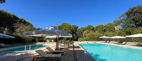 Seasonal outdoor pool, pool umbrellas, pool loungers