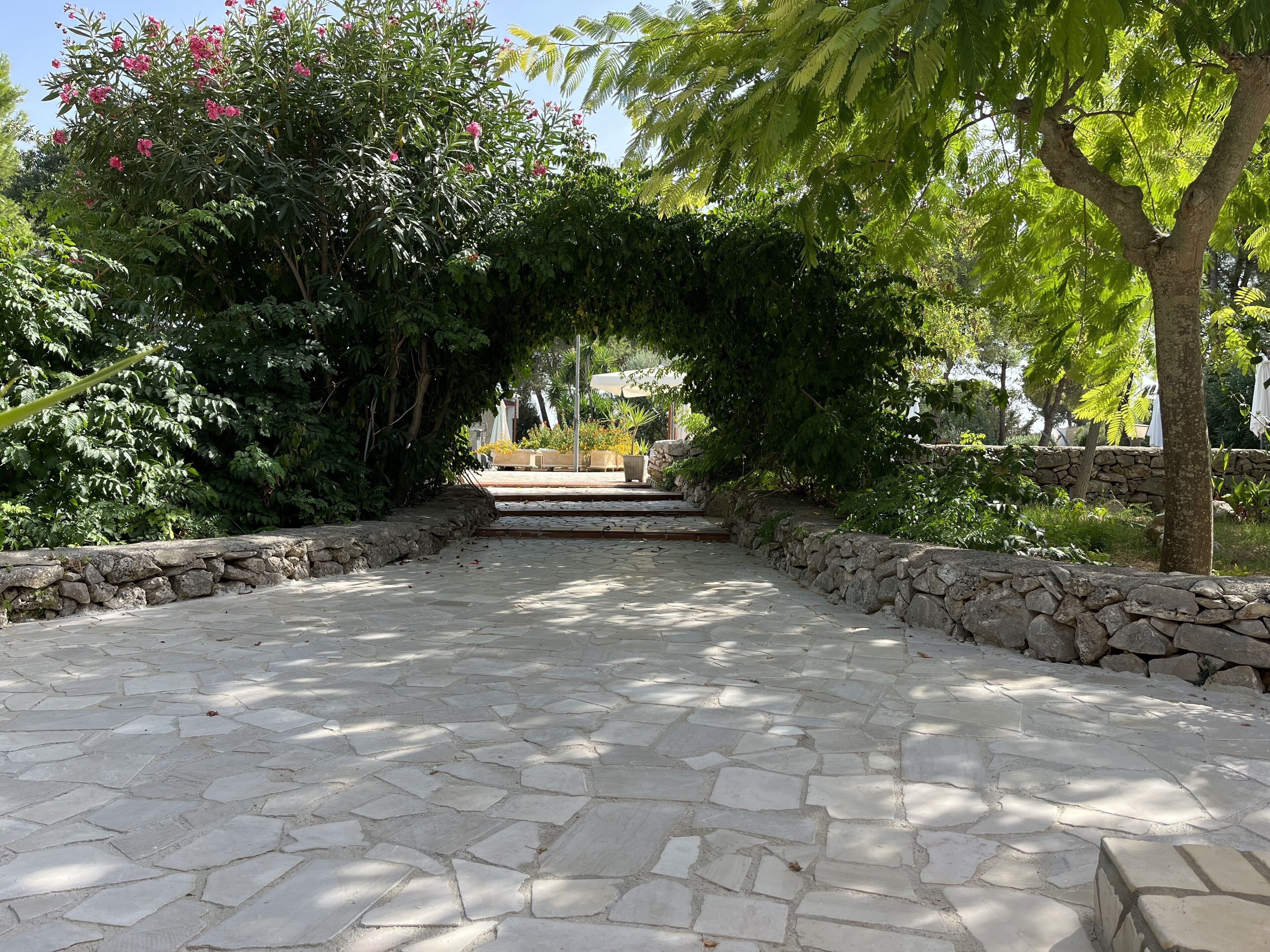 A stone pathway leading through a garden with a stone wall on one side and a variety of plants and trees on the other.