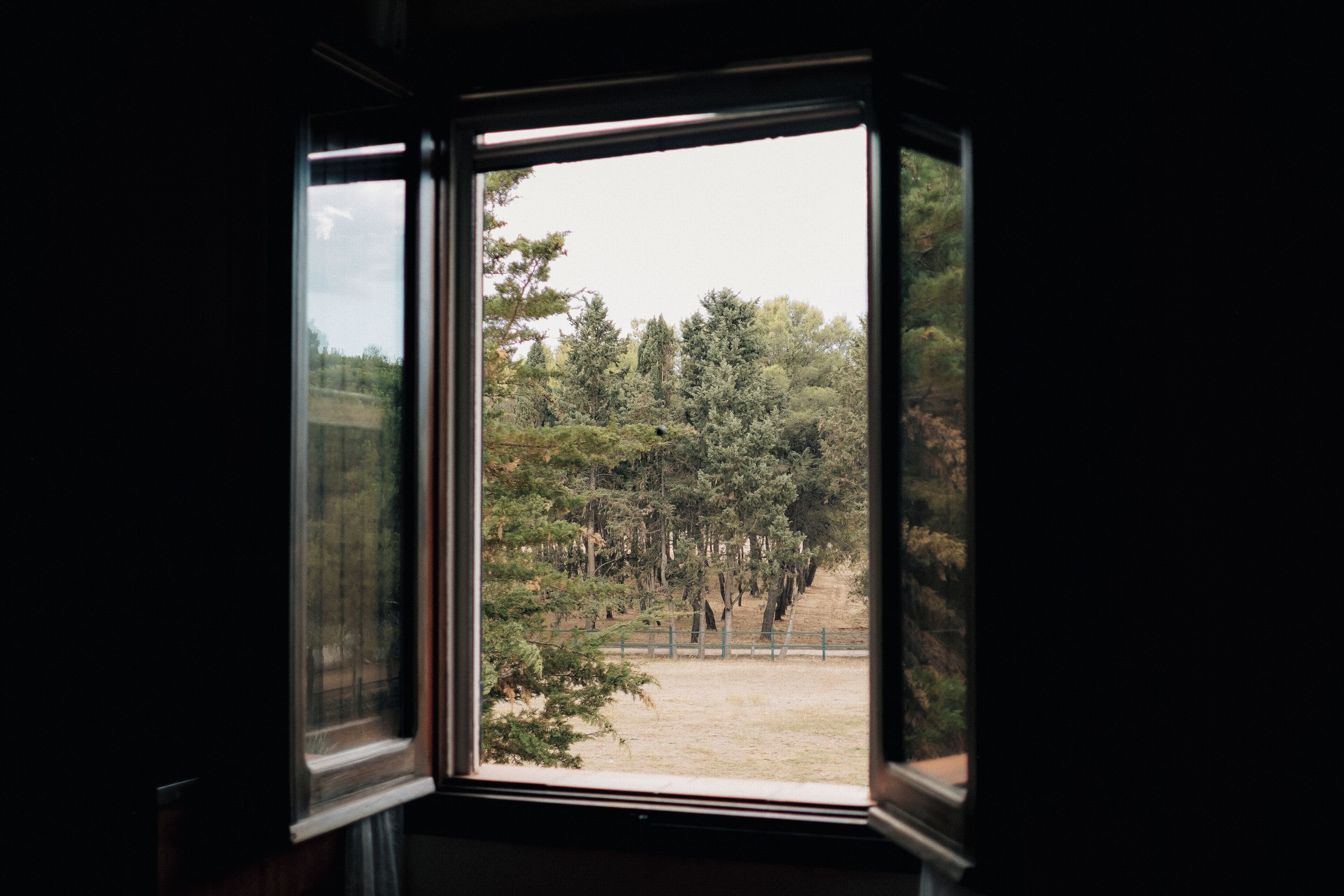A view through a window with a metal frame, revealing a forested area with trees and a fence.