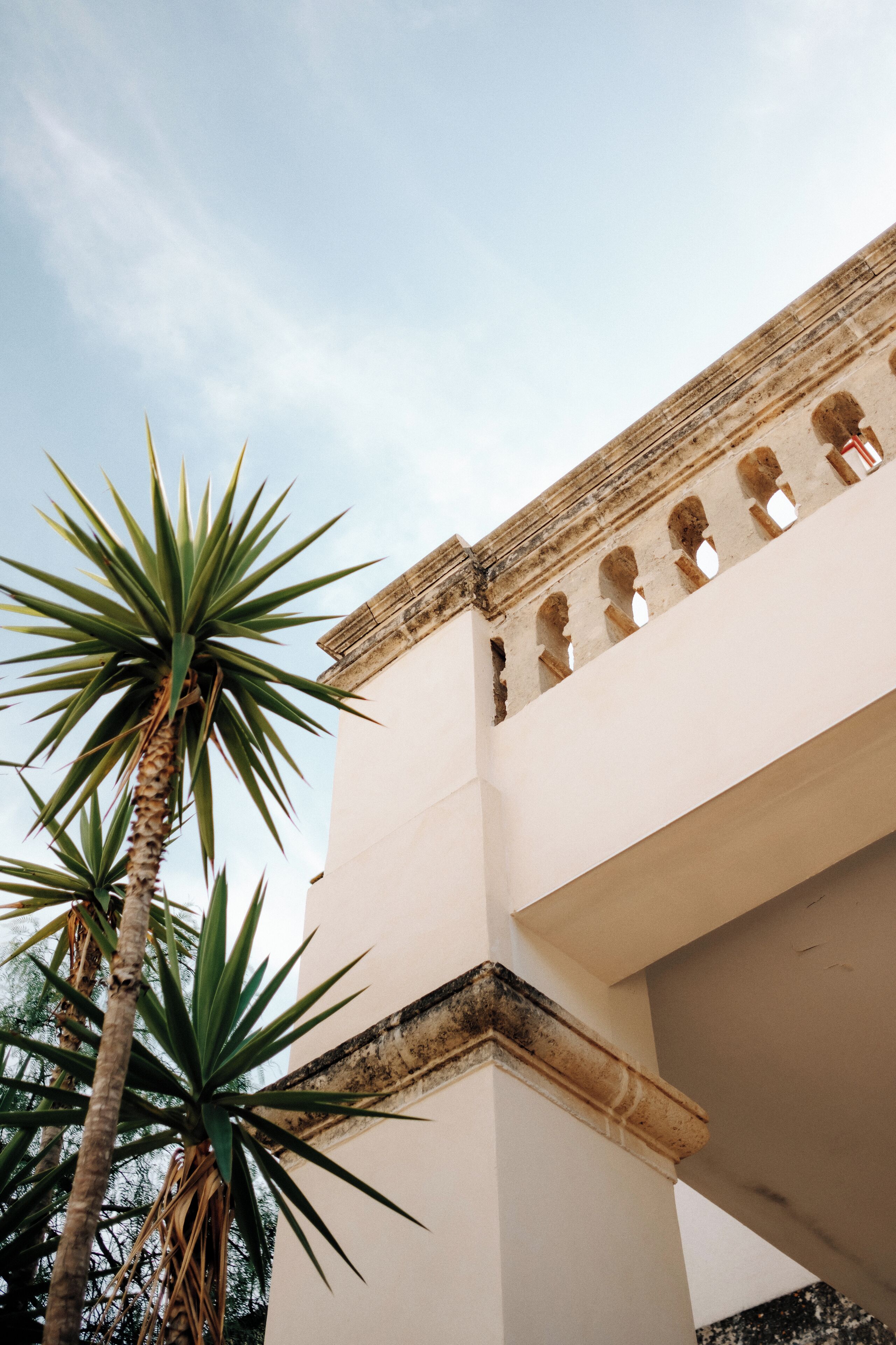 A building with a white facade, a palm tree, and an arched window design.