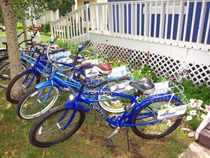 Bicycling - Purple Mountain Bed & Breakfast (Crested Butte)