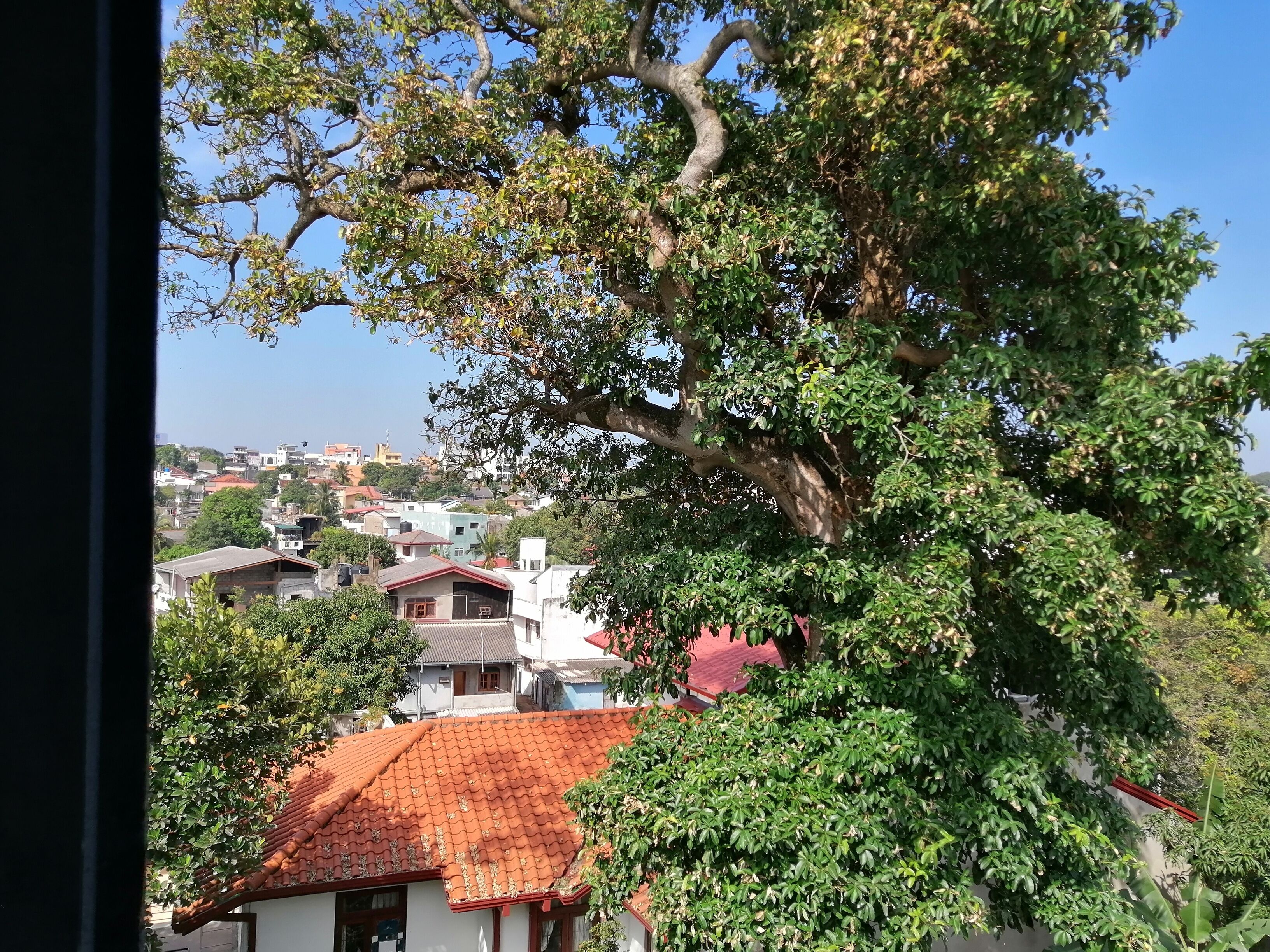 Bahçe manzarası