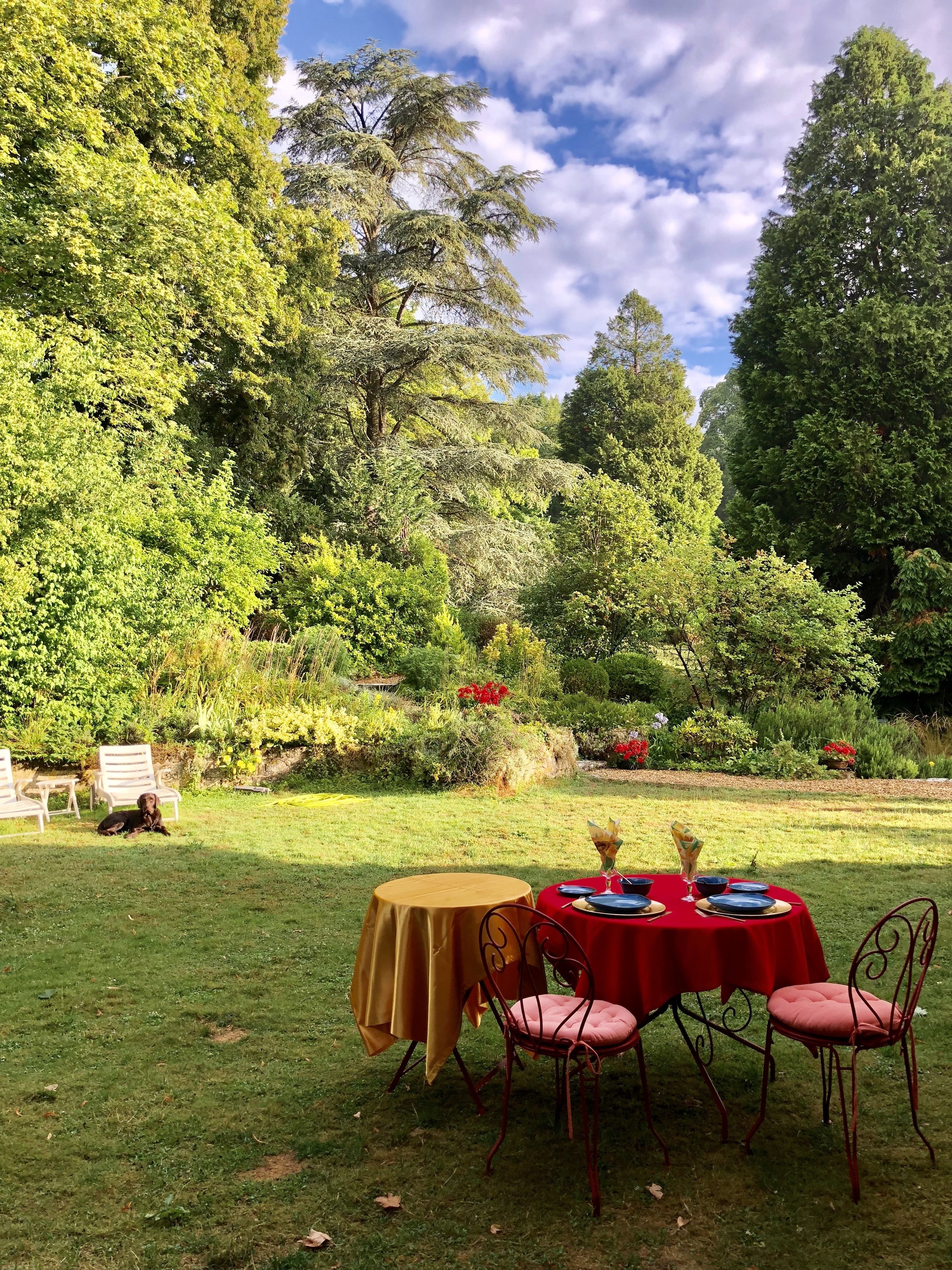 Un área de comedor al aire libre con dos mesas, una con mantel amarillo y la otra con mantel rojo, rodeada de abundante vegetación y árboles.