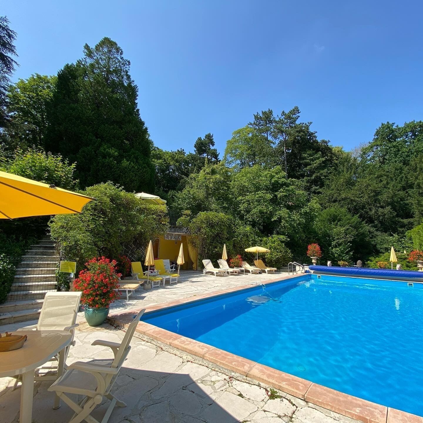 Piscina con lettini e ombrelloni, circondata da vegetazione lussureggiante.