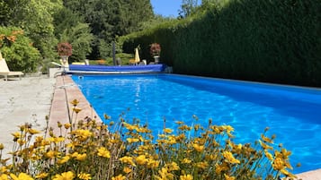 Seasonal outdoor pool, pool umbrellas, pool loungers