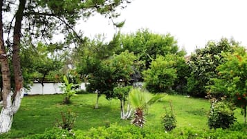 花園